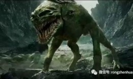 在线观看饕餮,在线观看美食节目的独特魅力